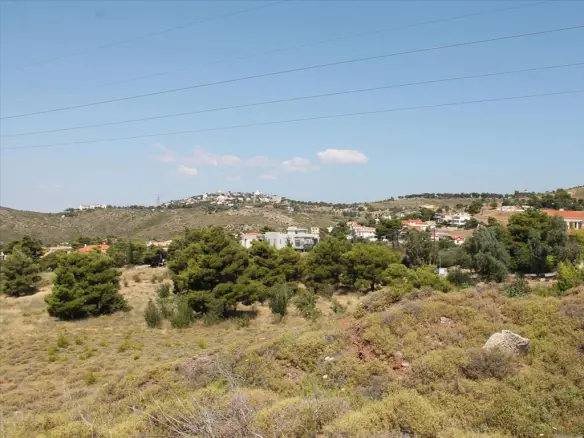 Land In Penteli, Greece