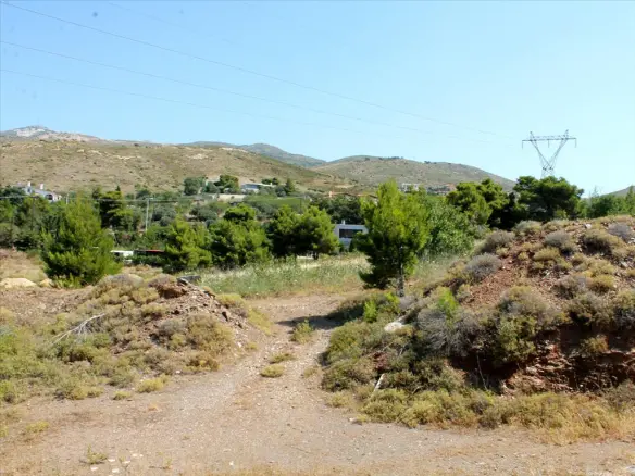 Land In Penteli, Greece