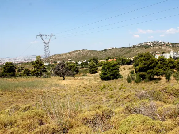 Land In Penteli, Greece