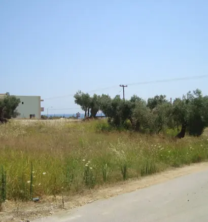 Land In Kassandra, Greece