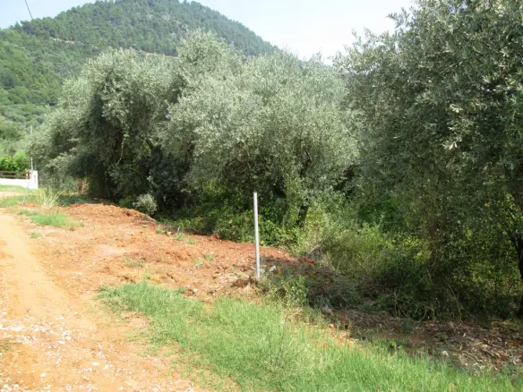 Land In Thasos, Greece