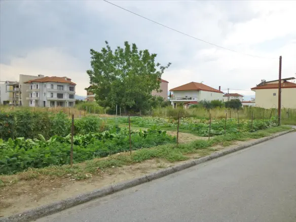 Land In Katerini, Greece