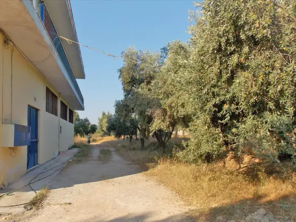 Land In Pallini, Greece