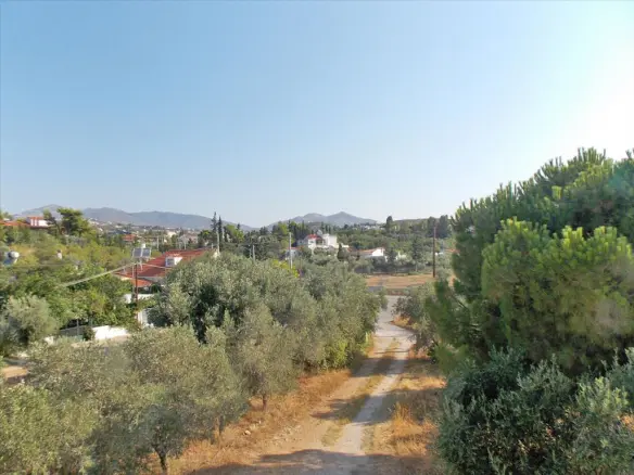 Land In Pallini, Greece