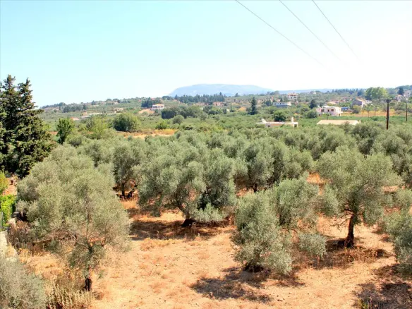 Land In Vamos, Greece