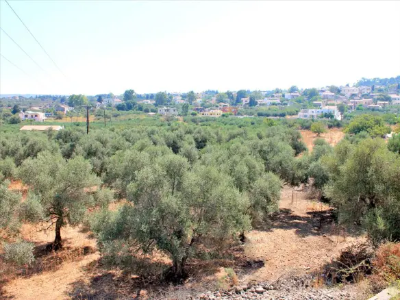Land In Vamos, Greece