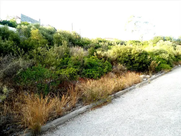 Land In Malesina, Greece
