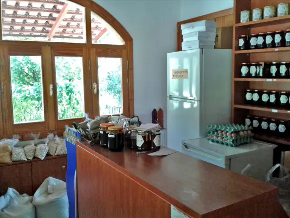 Business In Limni, Greece