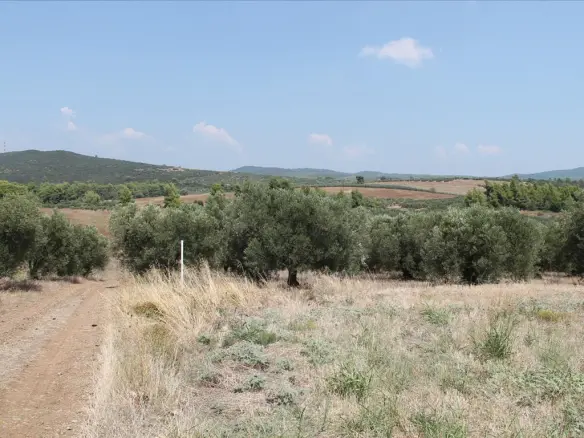 Land In Poligiros, Greece