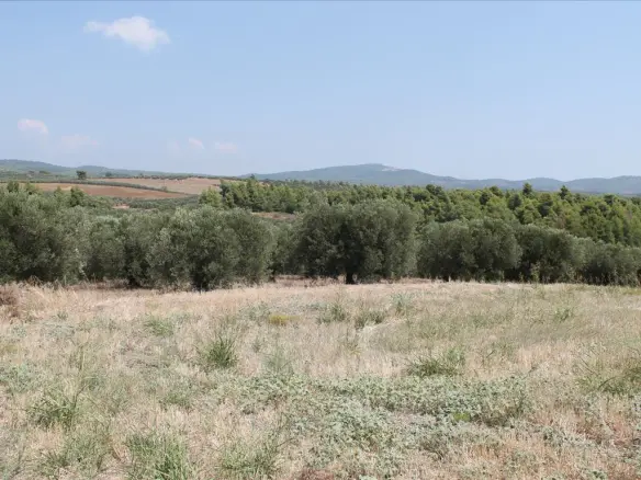 Land In Poligiros, Greece