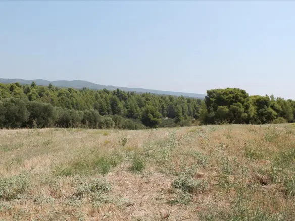 Land In Poligiros, Greece