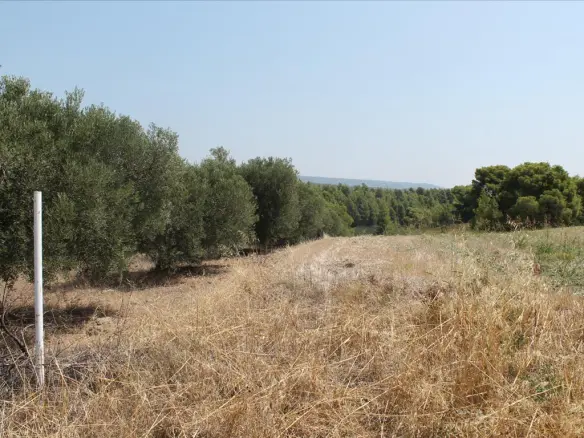 Land In Poligiros, Greece
