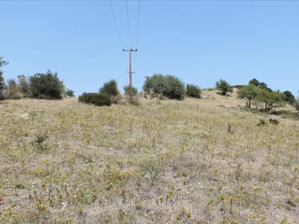 Land In Sithonia, Greece