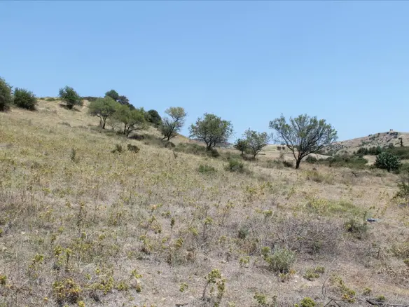 Land In Sithonia, Greece