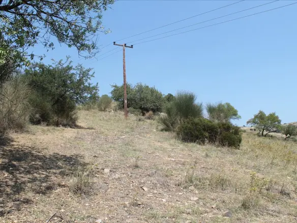 Land In Sithonia, Greece