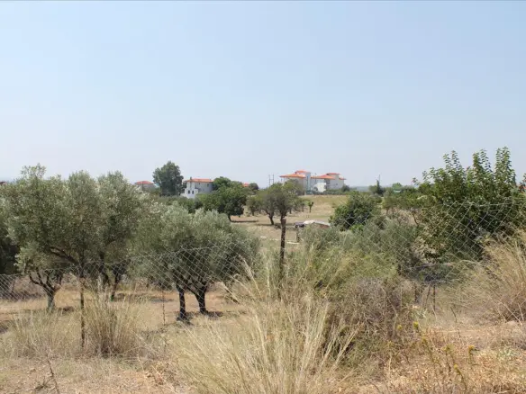 Land In Sithonia, Greece