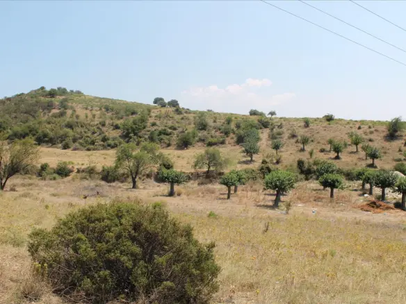 Land In Sithonia, Greece