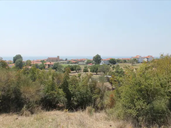 Land In Sithonia, Greece