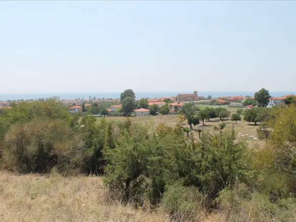 Land In Sithonia, Greece