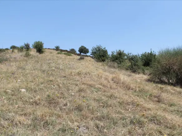 Land In Sithonia, Greece