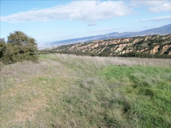 Land In Thermi, Greece