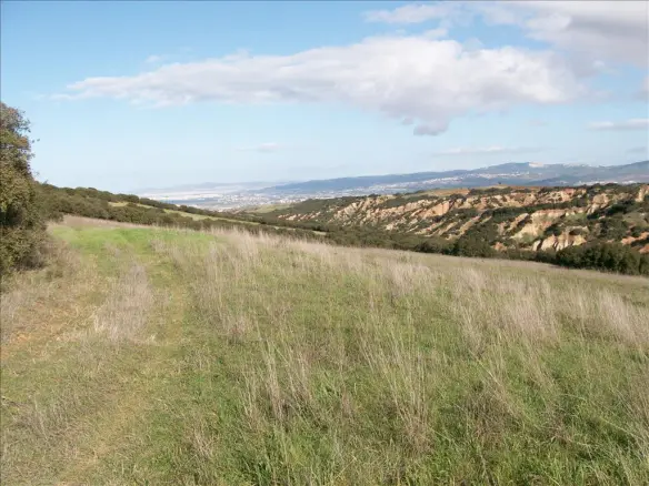 Land In Thermi, Greece