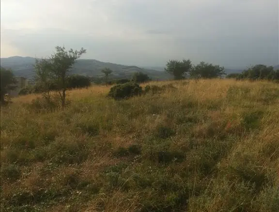 Land In Chortiatis, Greece