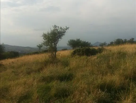 Land In Chortiatis, Greece