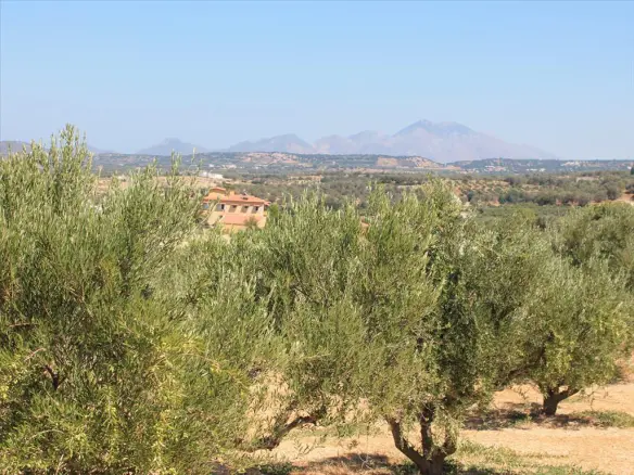 Land In Arkadi, Greece