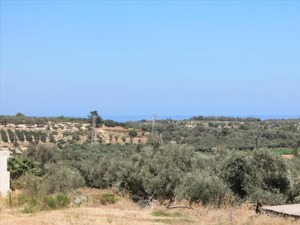 Land In Arkadi, Greece