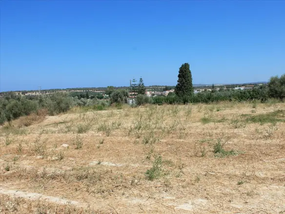 Land In Arkadi, Greece