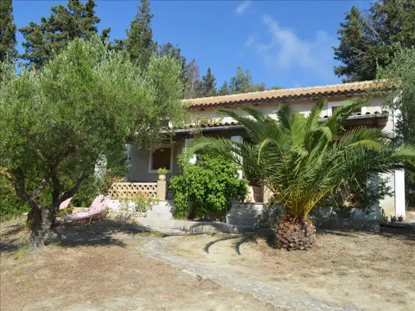 Business In Main Town Area, Greece (70 M²)