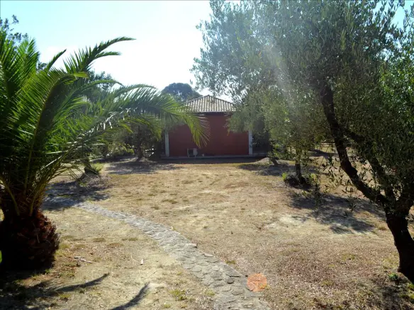 Business In Main Town Area, Greece (70 M²)
