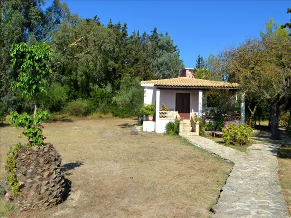 Business In Main Town Area, Greece (70 M²)