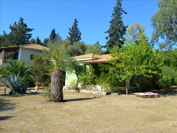 Business In Main Town Area, Greece (70 M²)