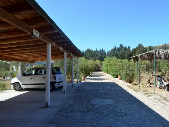 Business In Main Town Area, Greece (70 M²)