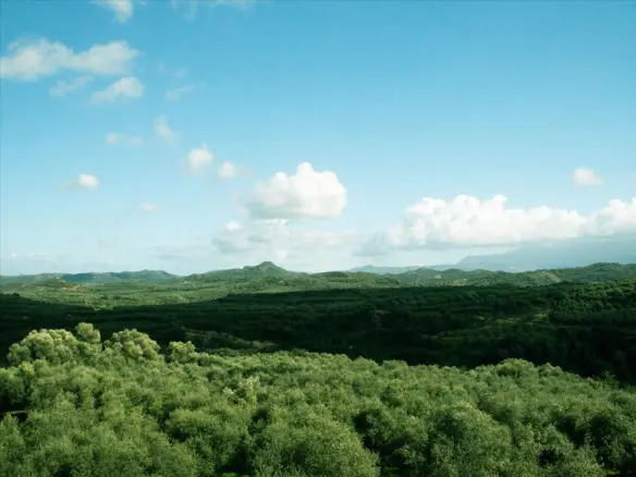 Land In Platanias, Greece