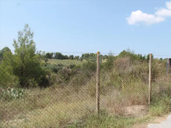 Land In Kassandra, Greece