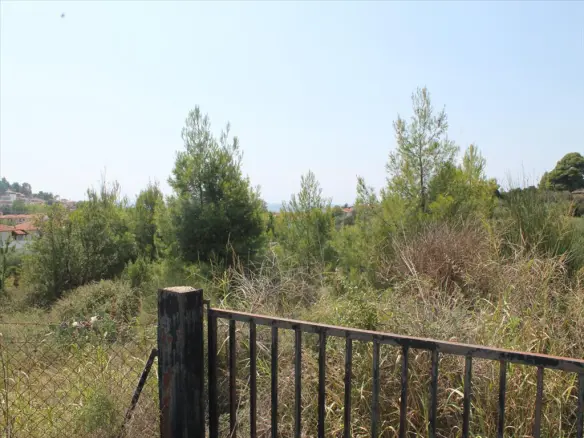 Land In Kassandra, Greece
