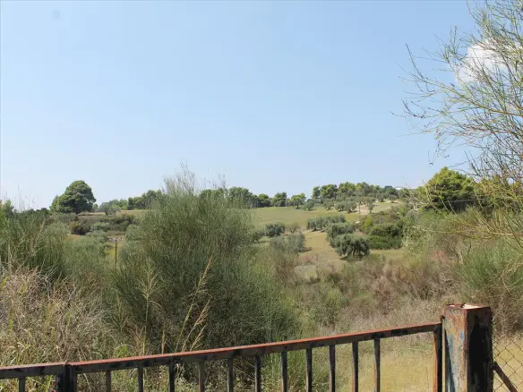 Land In Kassandra, Greece