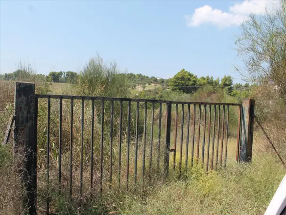 Land In Kassandra, Greece
