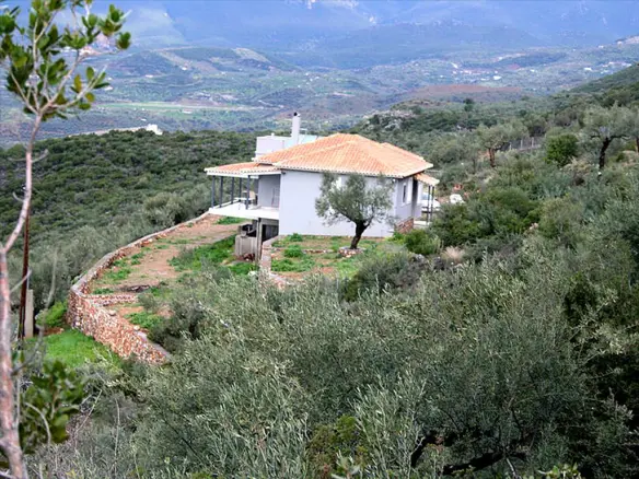 Land In Kalamata, Greece
