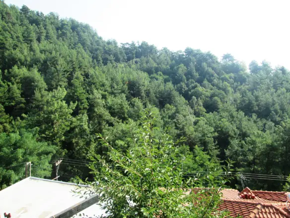 2-bedroom Detached House In Thasos, Greece (84 M²)