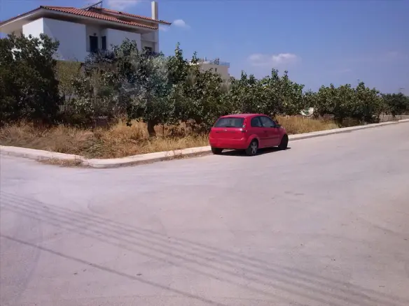 Land In Koropi, Greece