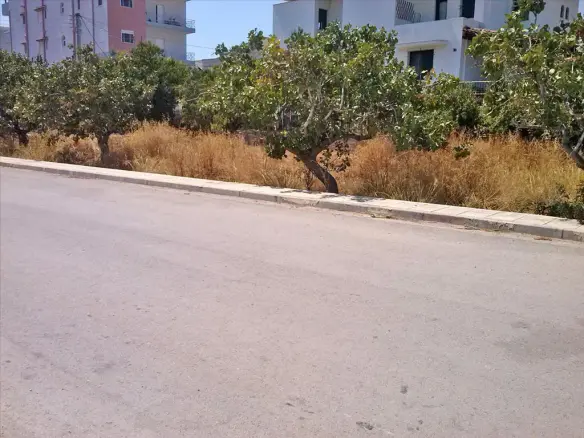 Land In Koropi, Greece