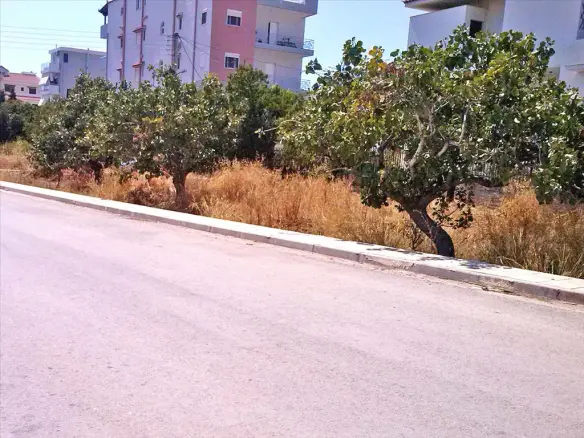 Land In Koropi, Greece