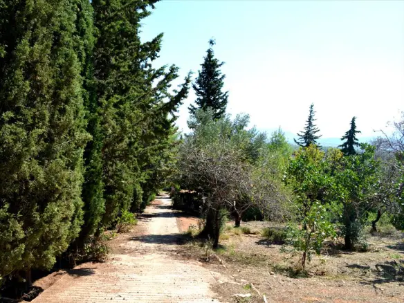 5-bedroom Detached House In Paiania, Greece (330 M²)