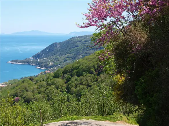 Villa In Mouresi, Greece (383 M²)