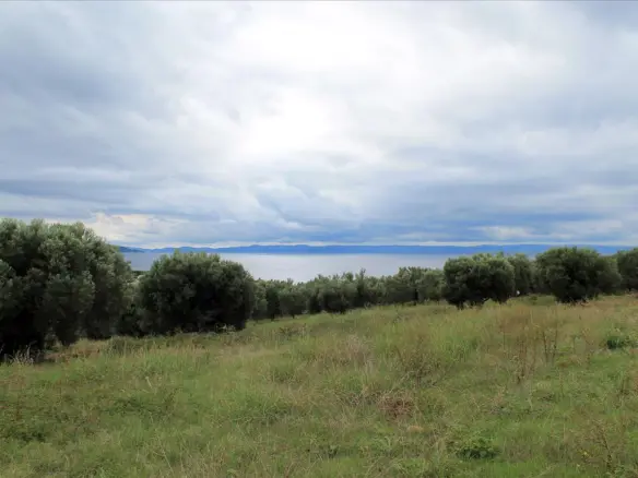 Land In Sithonia, Greece