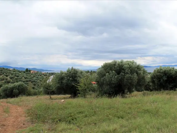 Land In Sithonia, Greece